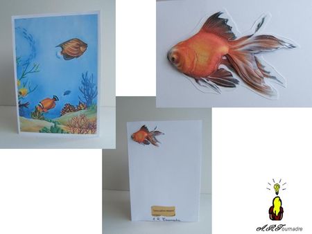 ART_2010_03_carte_triangle_aquarium_1