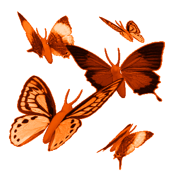 gif-papillons 2