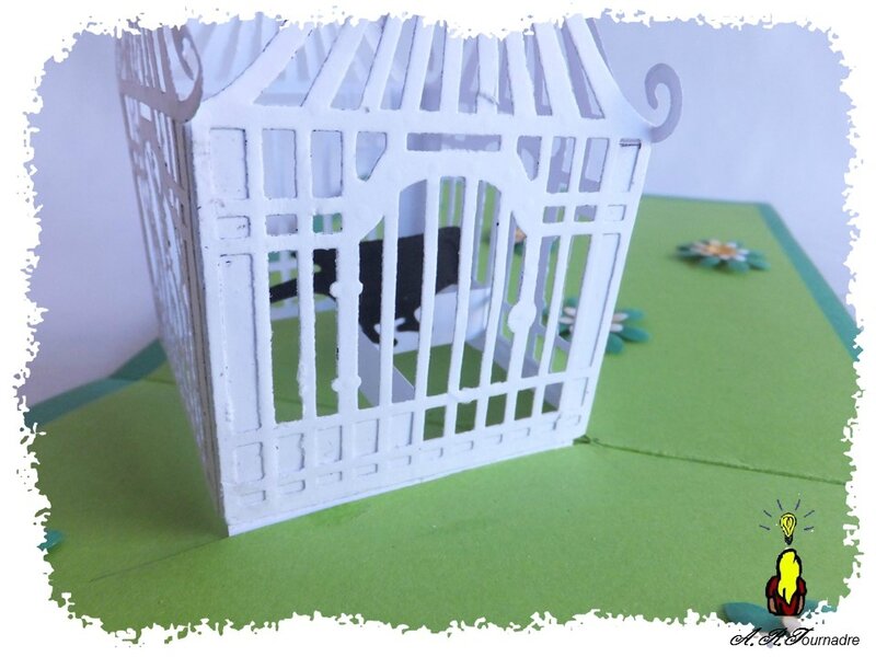 ART 2016 04 cage pop-up 5