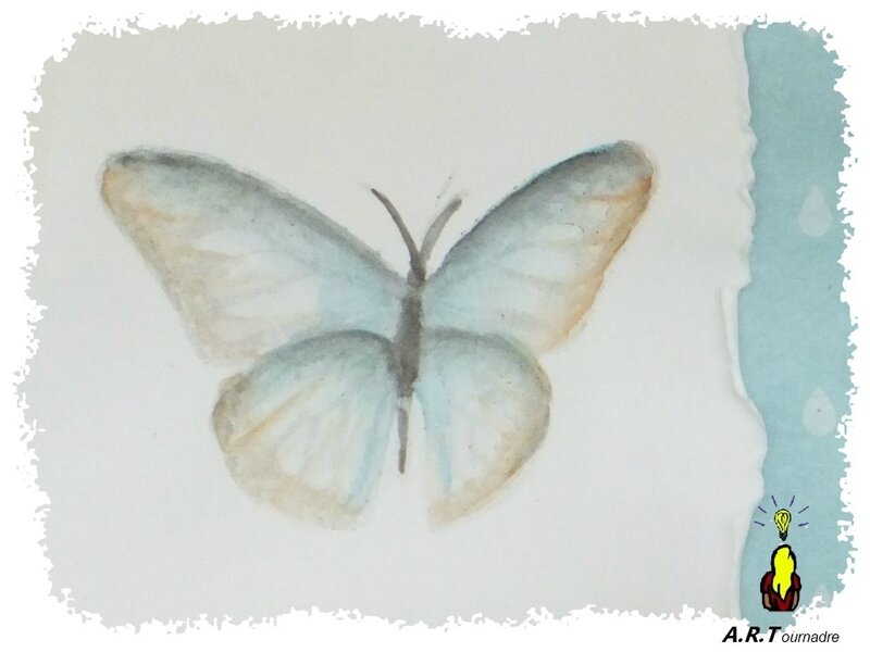 ART 2017 08 papillon aquarelle 7