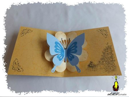 ART 2013 05 carte papillon 2