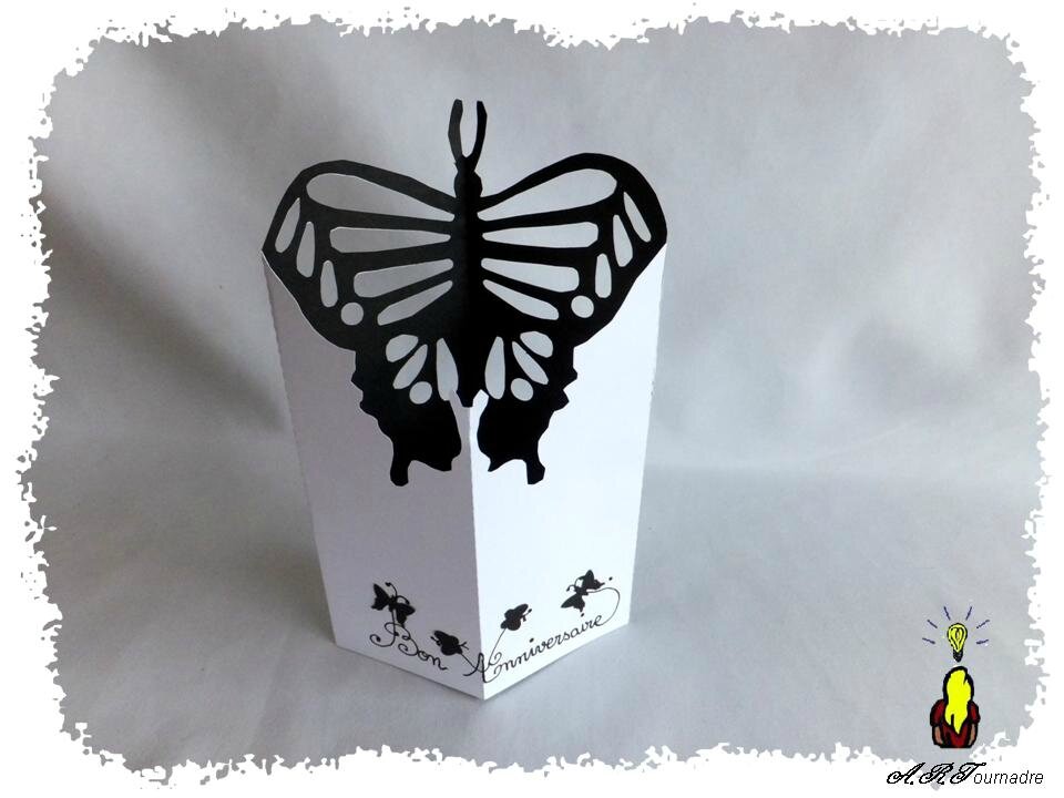 ART 2014 01 papillon en X 3