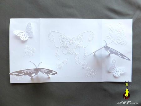 ART 2012 08 papillons blancs 3