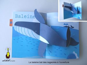 ART_2009_10_Baleine