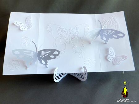 ART 2012 08 papillons blancs 2