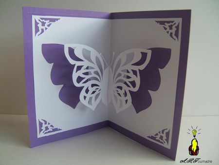 ART_2010_05_papillon_kirigami_2