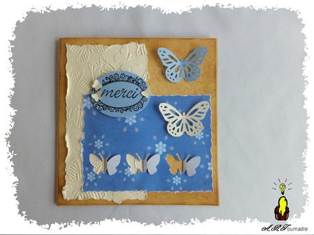 ART 2013 05 carte papillon 1