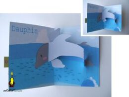 Dauphin pop-up