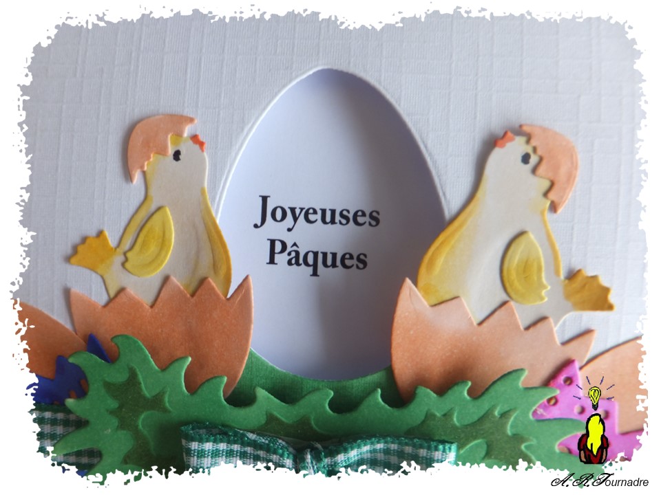 détail des poussins