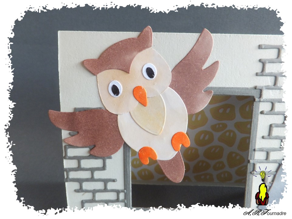 ART 2025 09 fenetre aux chouettes 3 chouette qui s'envole