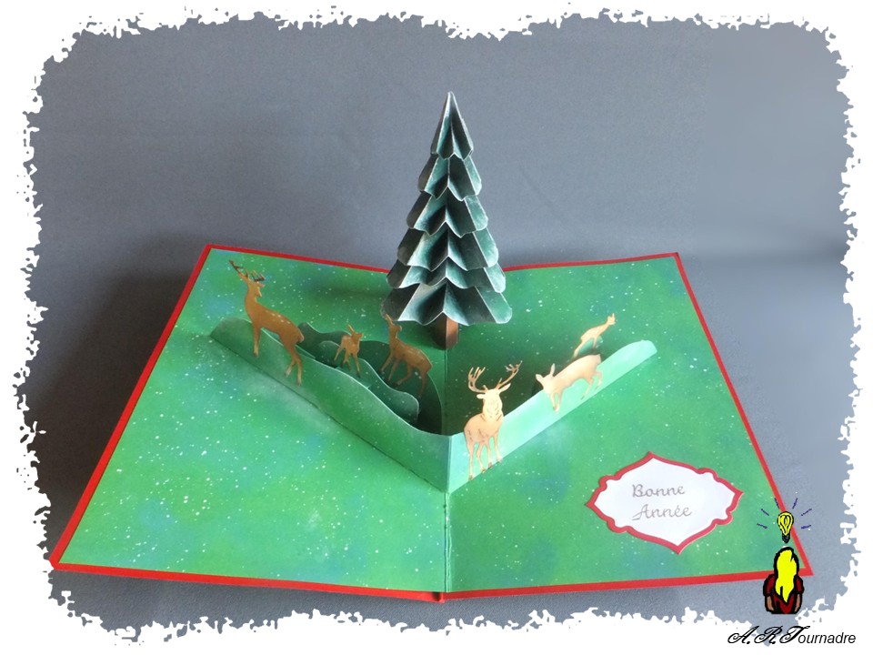 ART 2025 12 sapin PaperPaul foret 5 scène en forêt