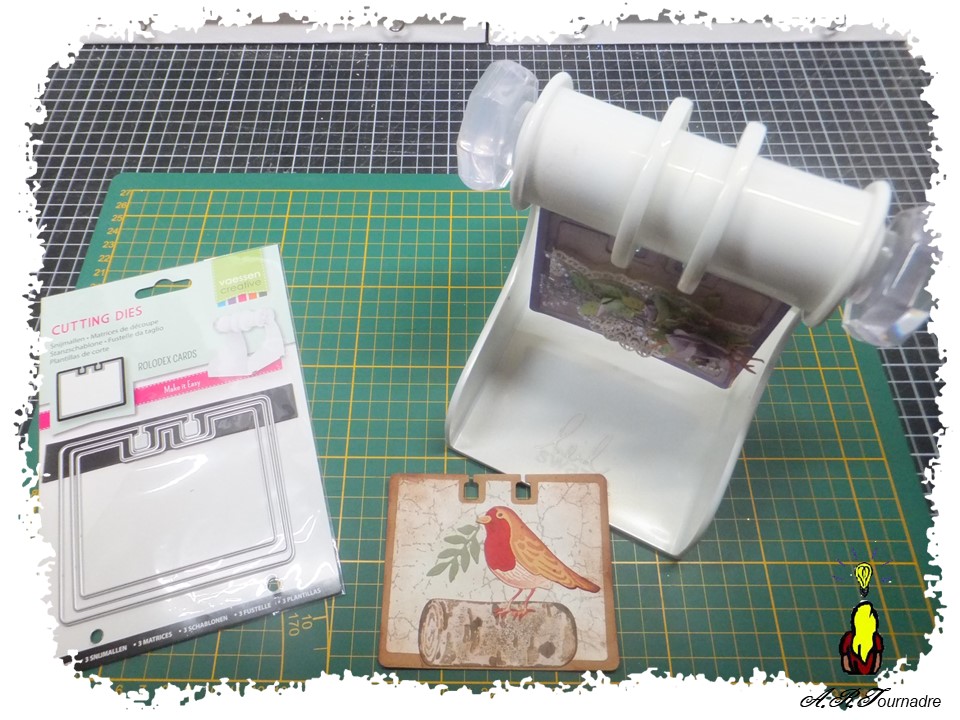 ART 2026 01 Memorydex oiseau encre 1 Memorydex et dies coordonnés