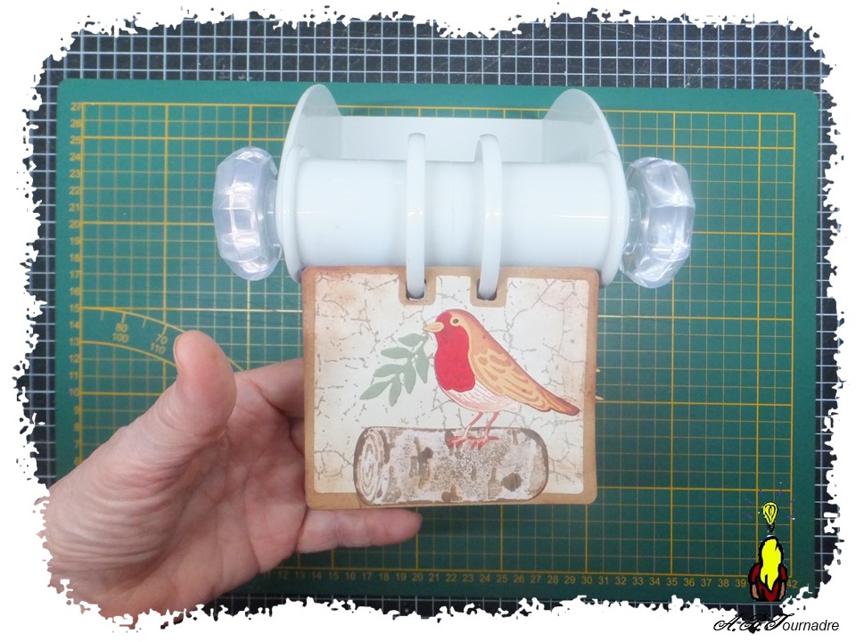 ART 2026 01 Memorydex oiseau encre 9 Memory card dans le Memorydex