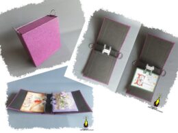 mini album Memorydex double