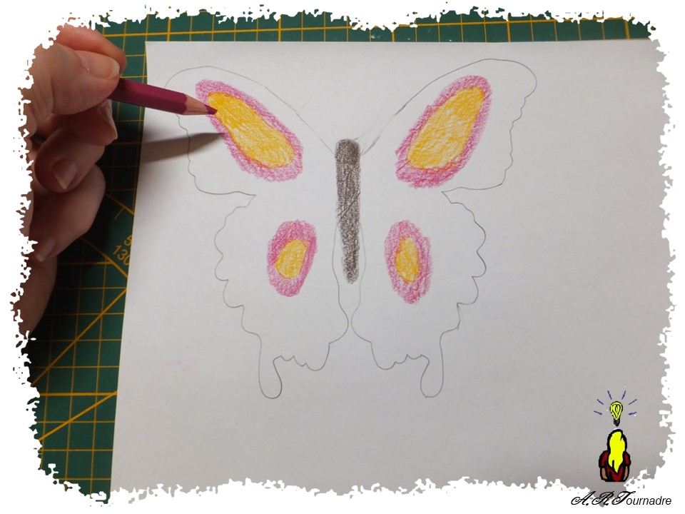 ART 2026 06 papillon & huile 4 coloriage des ailes