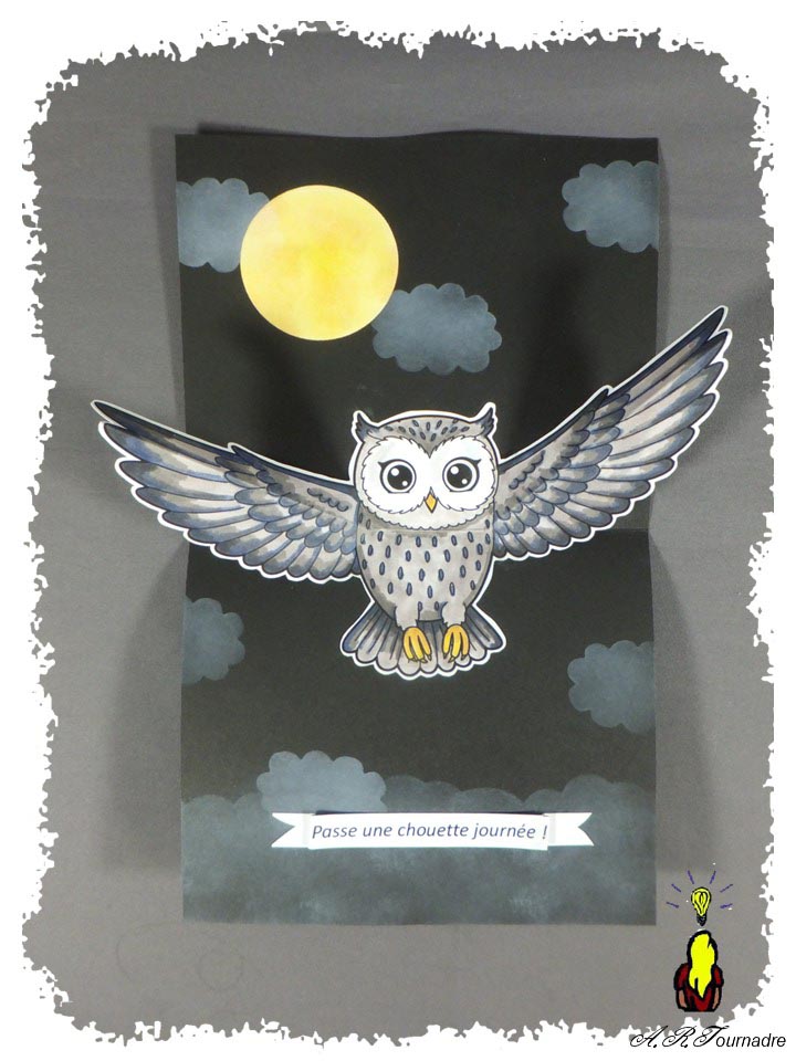 ART 2026 08 hibou 4 zoom sur le hibou pop-up
