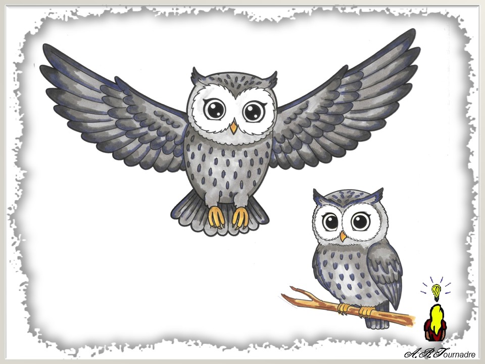 ART 2026 08 hibou 5 coloriage du hibou aux feutres Twinmarker